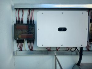 WhatsApp Image 2026-02-20 at 18.31.47 (2)