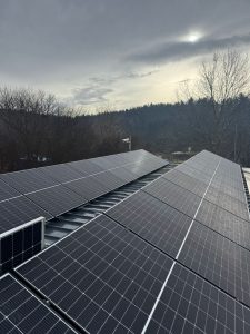 WhatsApp Image 2026-02-20 at 18.31.47