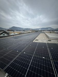 WhatsApp Image 2026-02-20 at 18.31.48